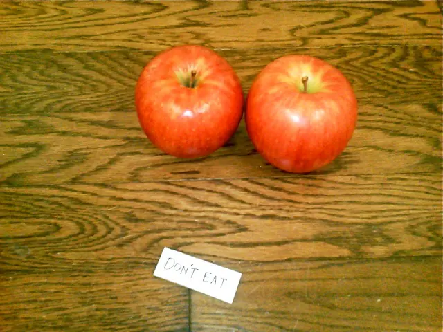 "PLASTIC TOWN" is SULEBOX first solo exhibition. — The apples of good and evil.