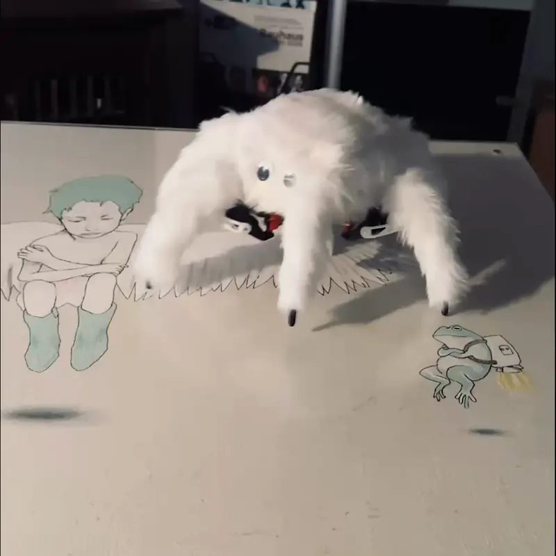 Mofu spider