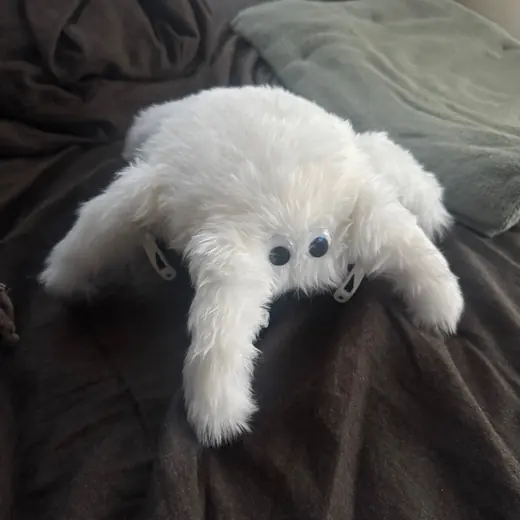 Mofu spider