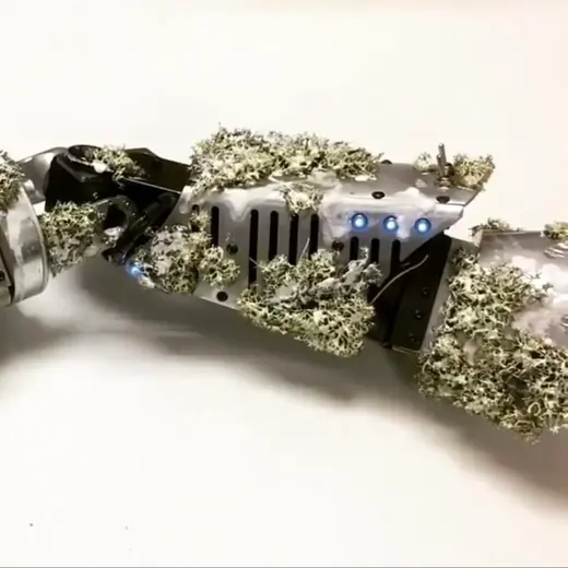 Robot arm